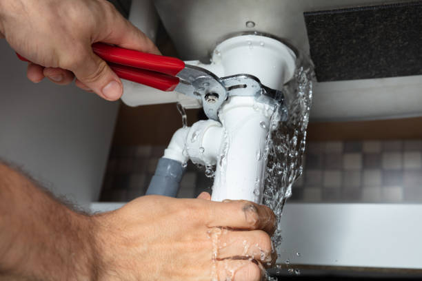 Best Professional water damage repair  in Taos, MO