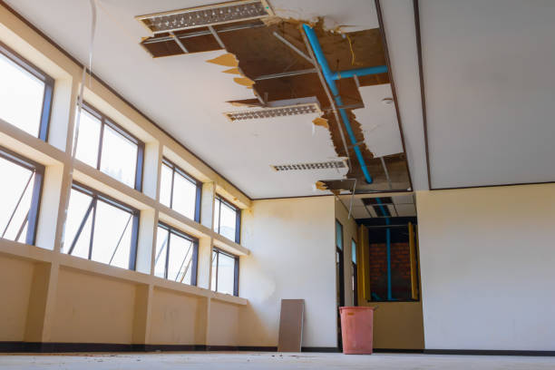 Best Fire Damage Restoration  in Taos, MO