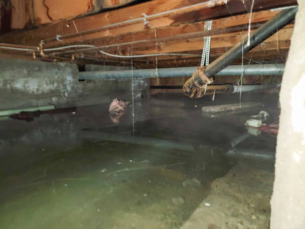 Best Commercial water damage restoration  in Taos, MO
