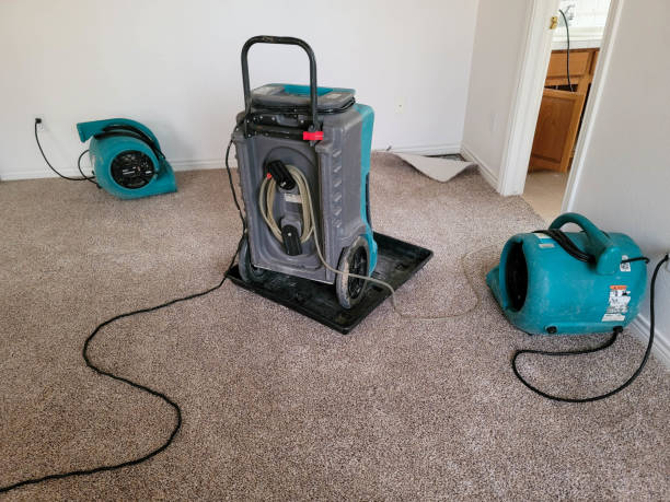 Best Flood restoration services  in Taos, MO