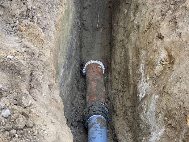 Best Sewage cleanup and water damage restoration  in Taos, MO