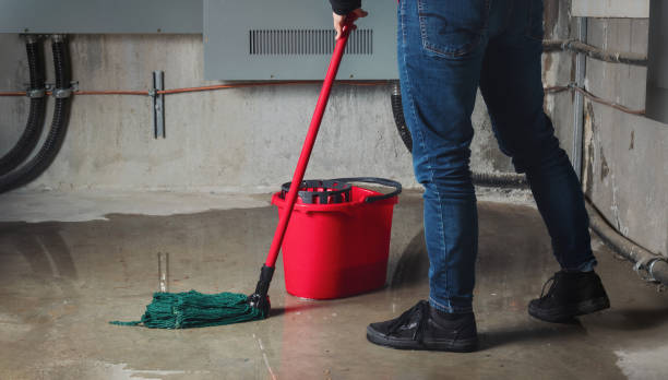 Best Flood damage cleanup  in Taos, MO
