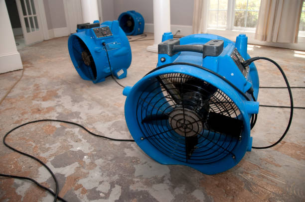 Best Water damage cleanup near me  in Taos, MO