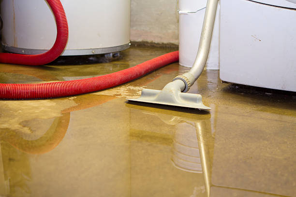 Best Local water damage restoration  in Taos, MO