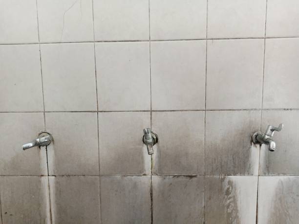 Best Professional water damage repair  in Taos, MO