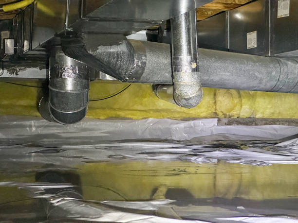 Best Flood restoration services  in Taos, MO