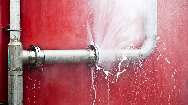 Best Water damage mitigation services  in Taos, MO