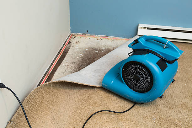 Fire Damage Restoration in Taos, MO